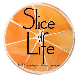Join the Slice of Life movement at Two Writing Teachers.